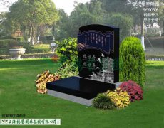 SY200505-鹤影长江 思量无绝