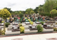 上；懔靶腔鹎