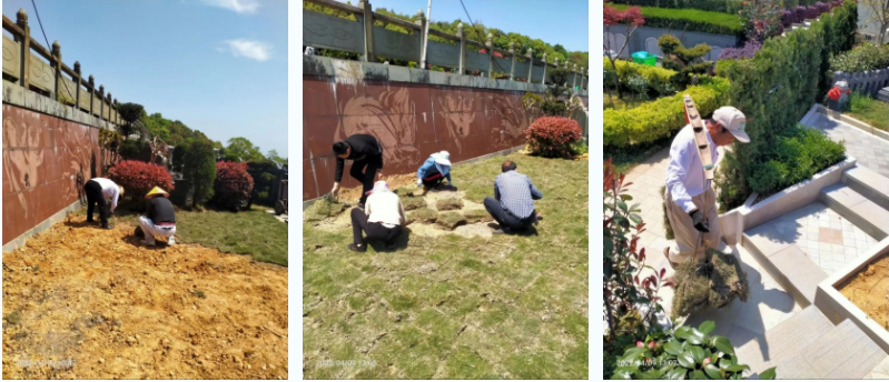 Z6·尊龙凯时(中国区)人生就是搏!