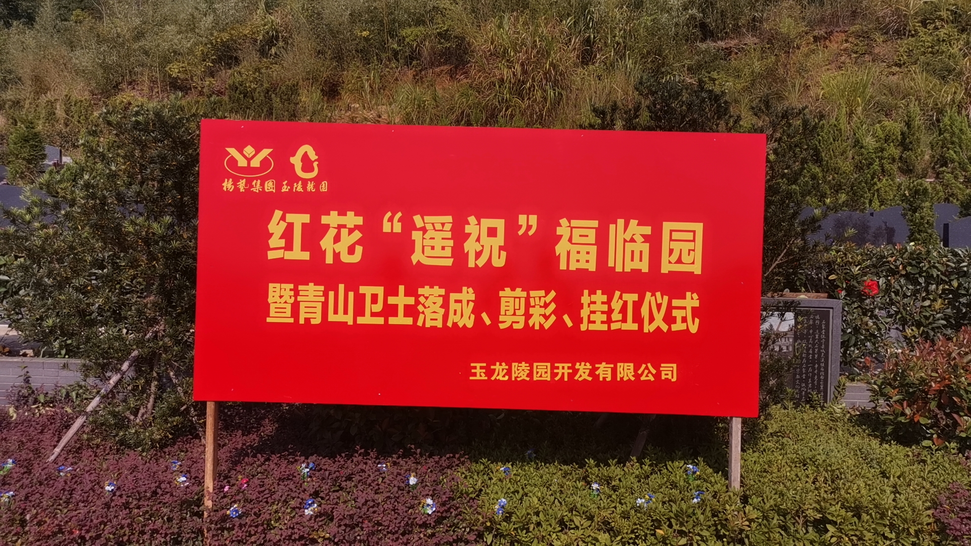 红花传爱意，情满玉龙园！