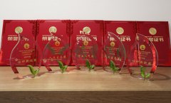 “Z6尊龙凯时杯」劂江省节地生态安葬设计文章奖