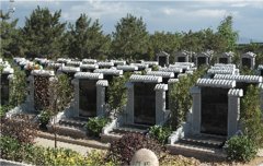 有一种墓碑，叫文化