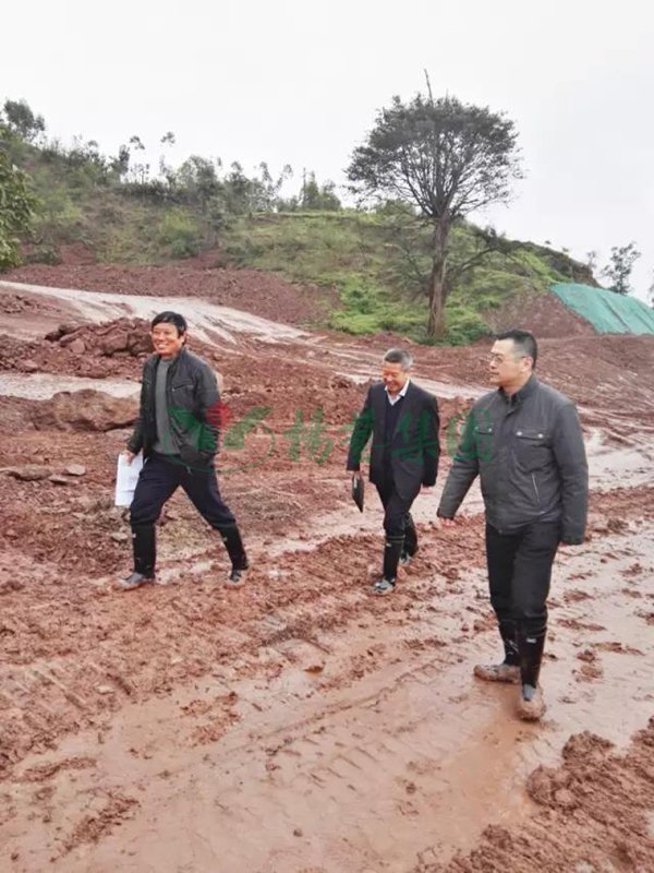 Z6·尊龙凯时(中国区)人生就是搏!