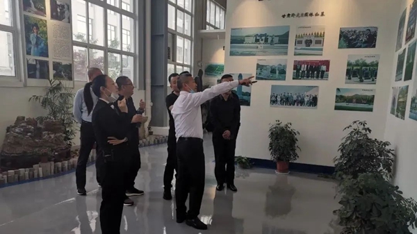 Z6·尊龙凯时(中国区)人生就是搏!