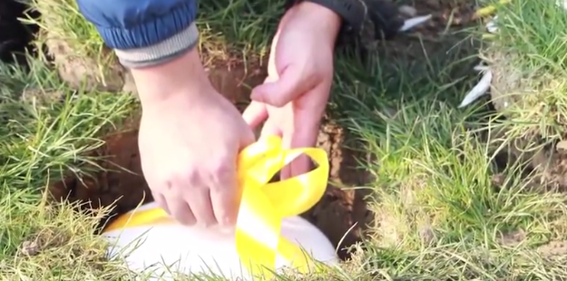 Z6·尊龙凯时(中国区)人生就是搏!