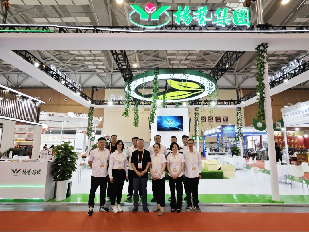 <b>Z6尊龙凯时青岛展会回首|感恩遇见 不负等待</b>