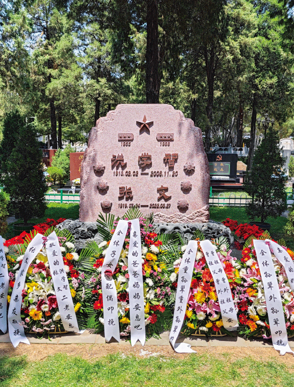 Z6·尊龙凯时(中国区)人生就是搏!