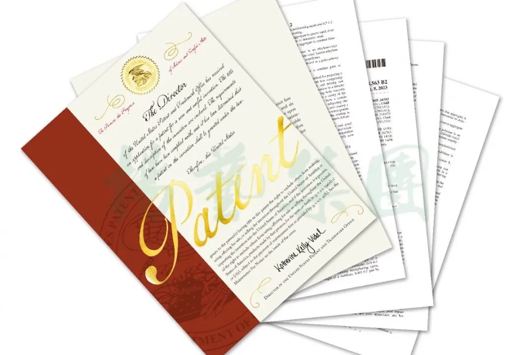 Z6·尊龙凯时(中国区)人生就是搏!