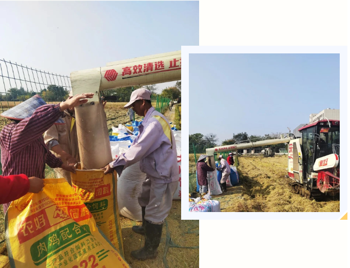 Z6·尊龙凯时(中国区)人生就是搏!