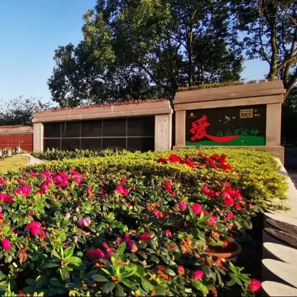 Z6·尊龙凯时(中国区)人生就是搏!