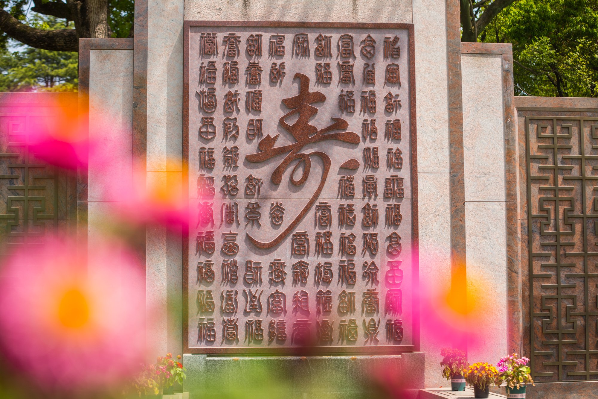 Z6·尊龙凯时(中国区)人生就是搏!