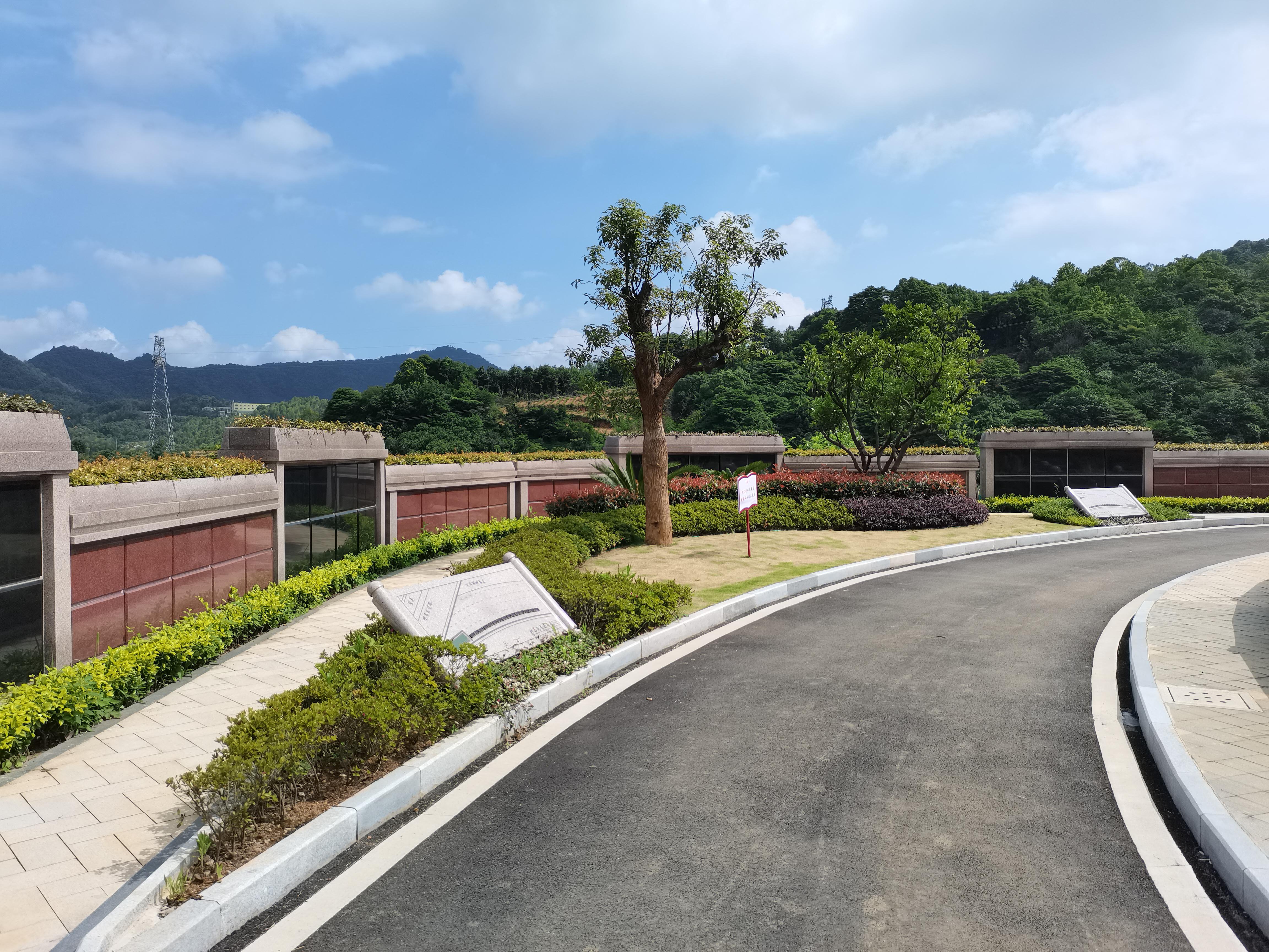 海葬和树葬哪个好？两种生态葬祭方式的选择与意思