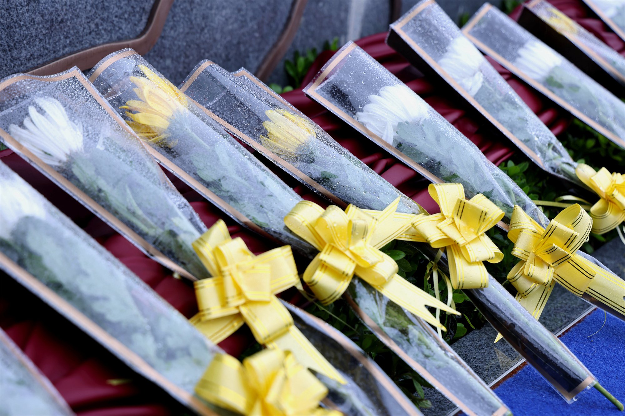 Z6·尊龙凯时(中国区)人生就是搏!