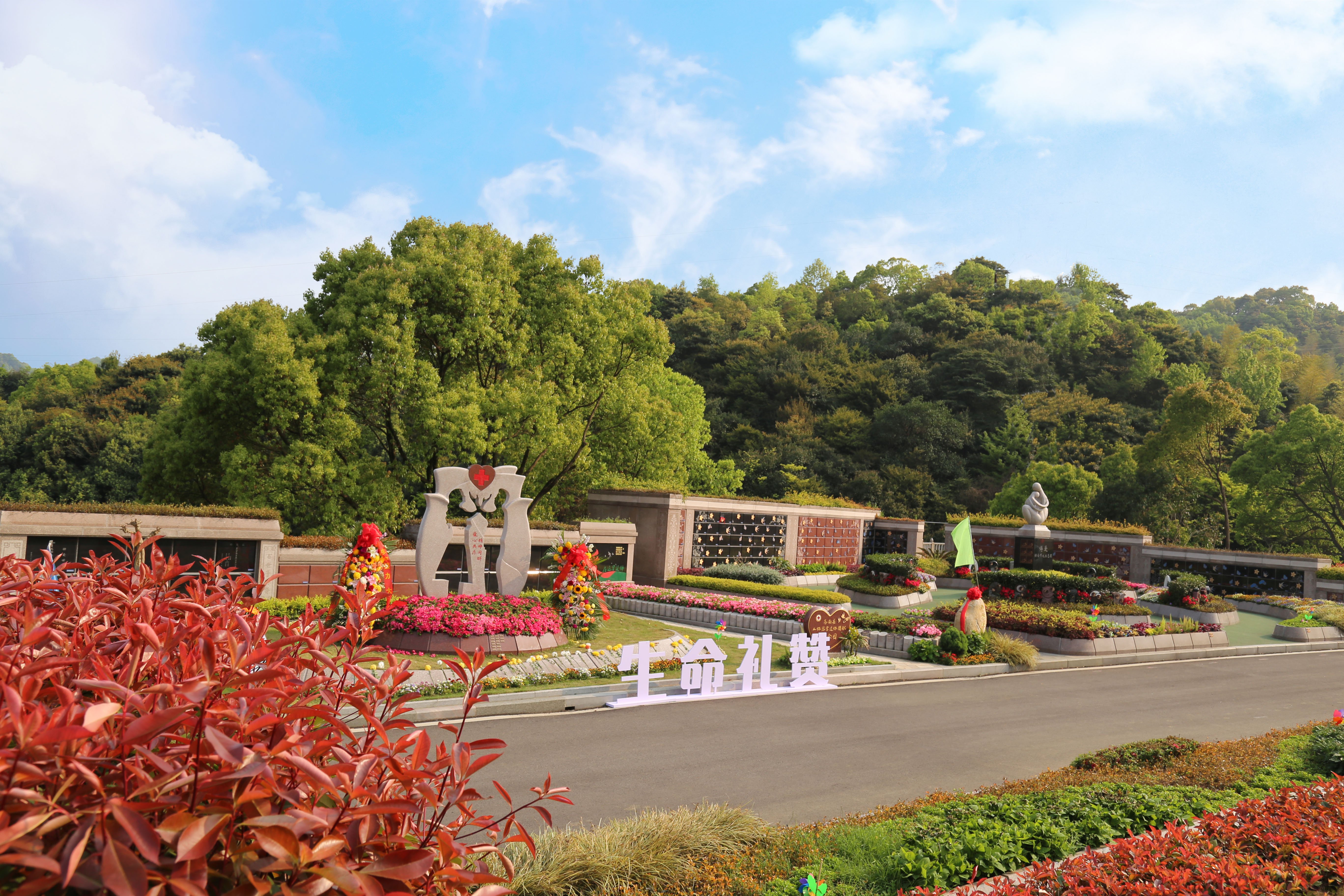 Z6·尊龙凯时(中国区)人生就是搏!