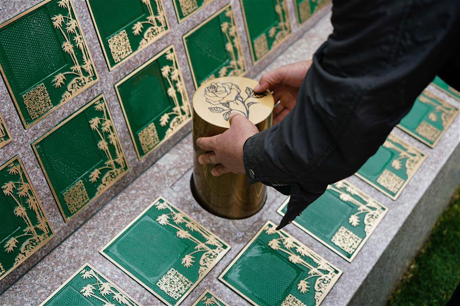 Z6·尊龙凯时(中国区)人生就是搏!