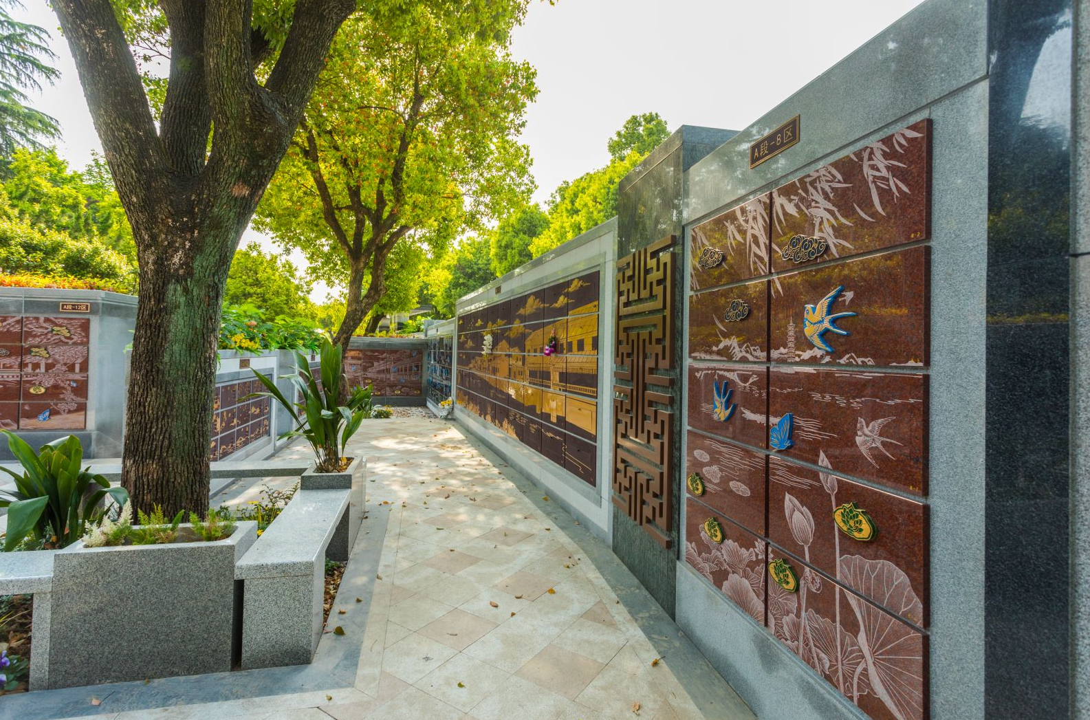 Z6·尊龙凯时(中国区)人生就是搏!