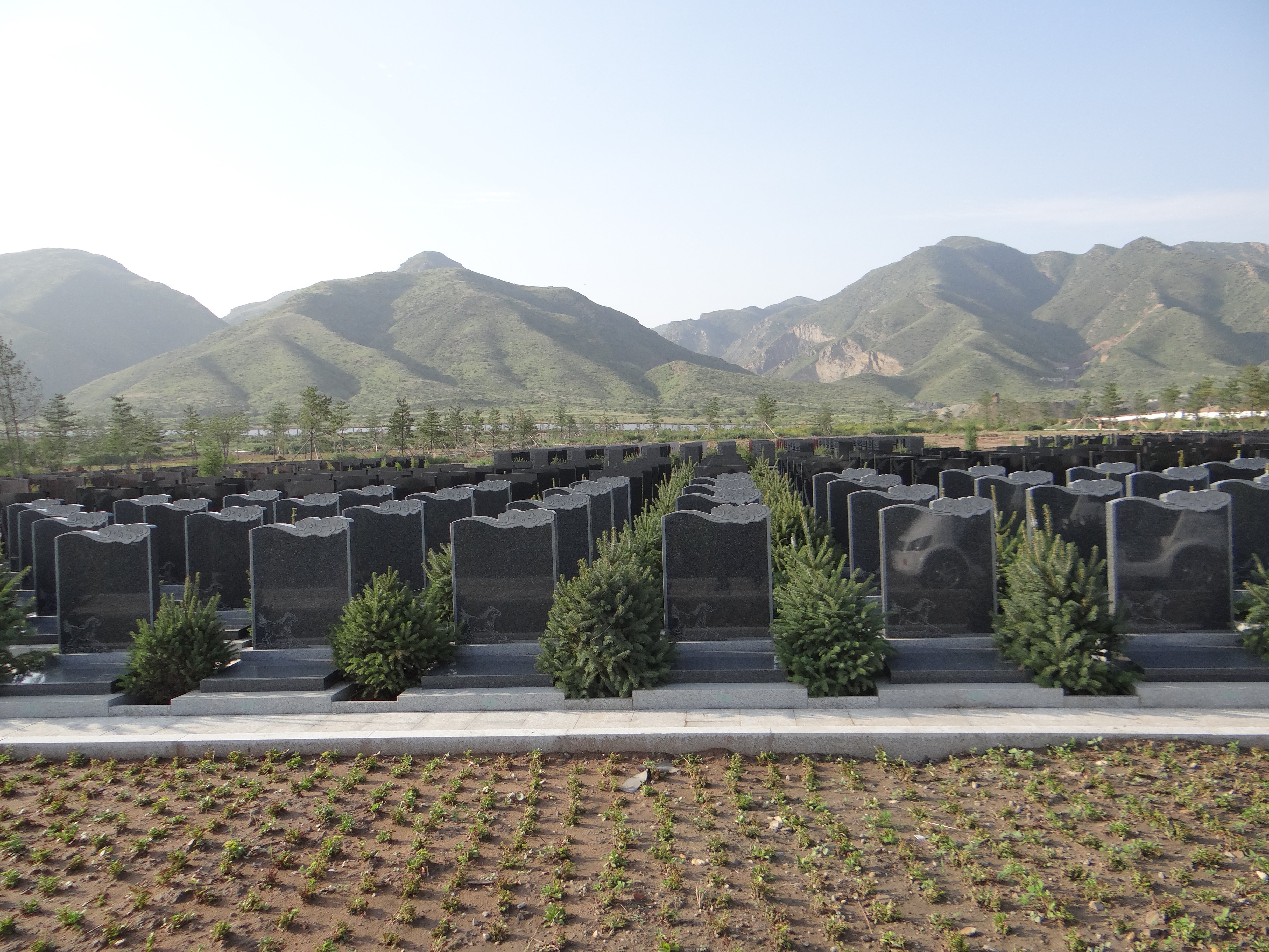 Z6·尊龙凯时(中国区)人生就是搏!