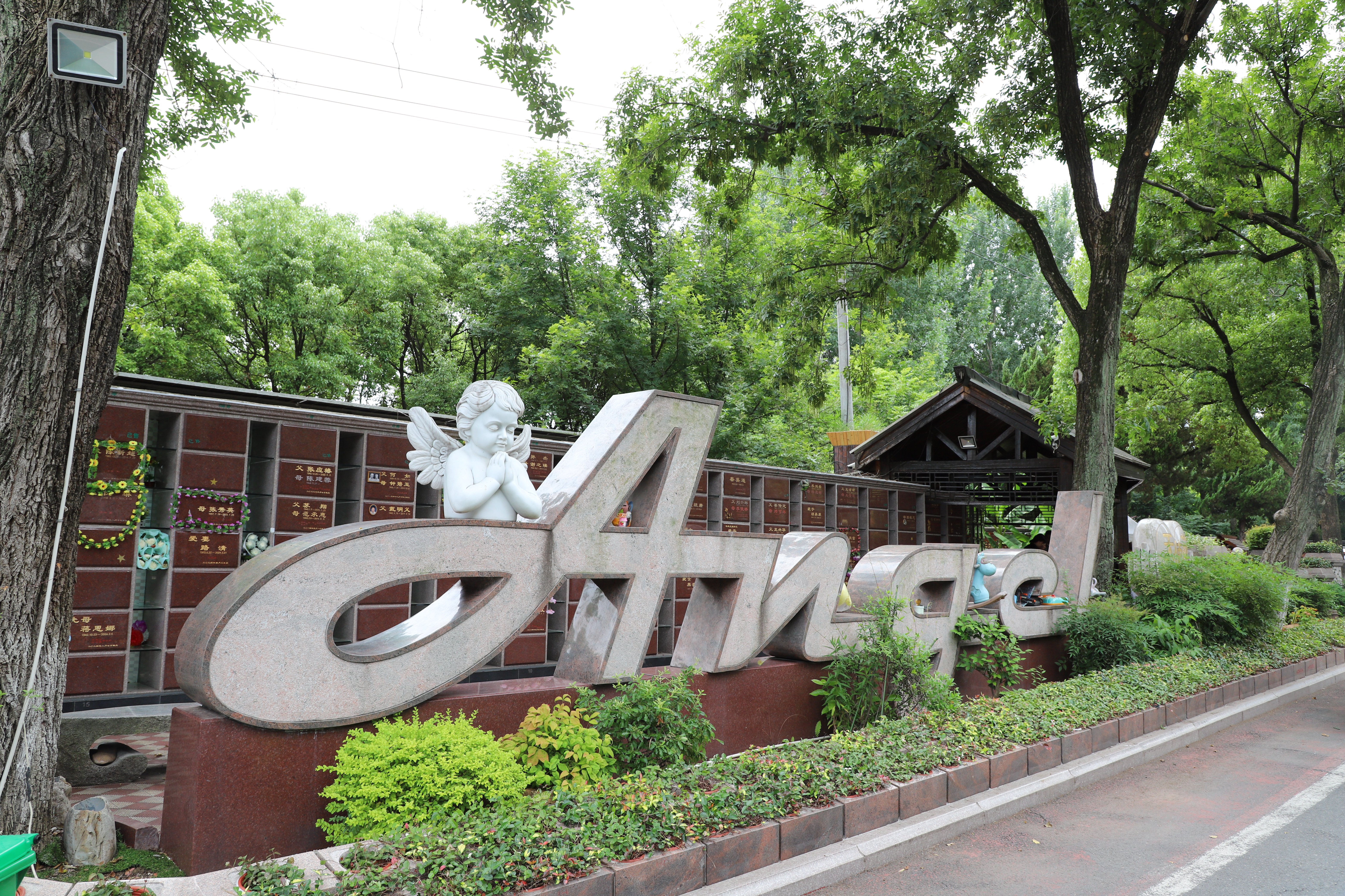 Z6·尊龙凯时(中国区)人生就是搏!