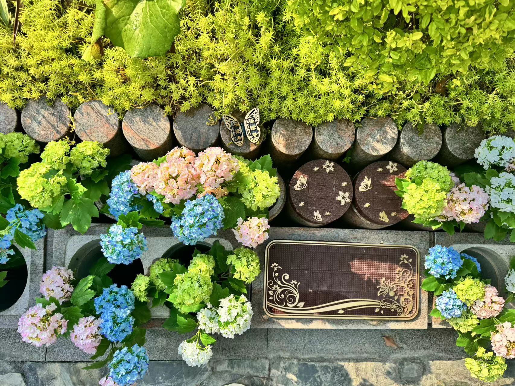 Z6·尊龙凯时(中国区)人生就是搏!