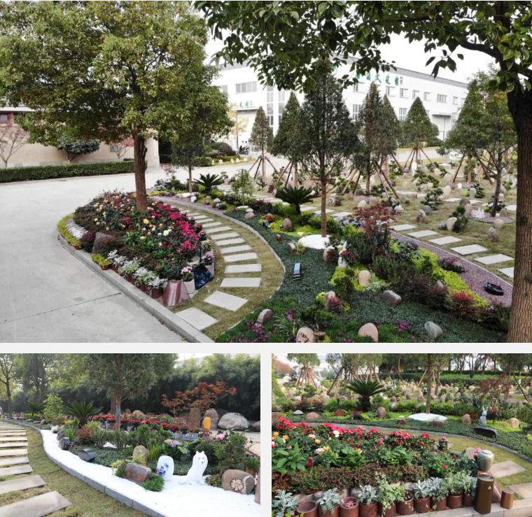 Z6·尊龙凯时(中国区)人生就是搏!