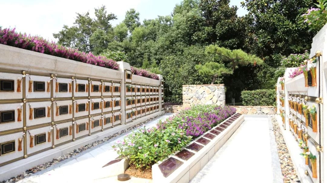 <b>在合肥大蜀山文化陵寝，与性命温顺对话</b>