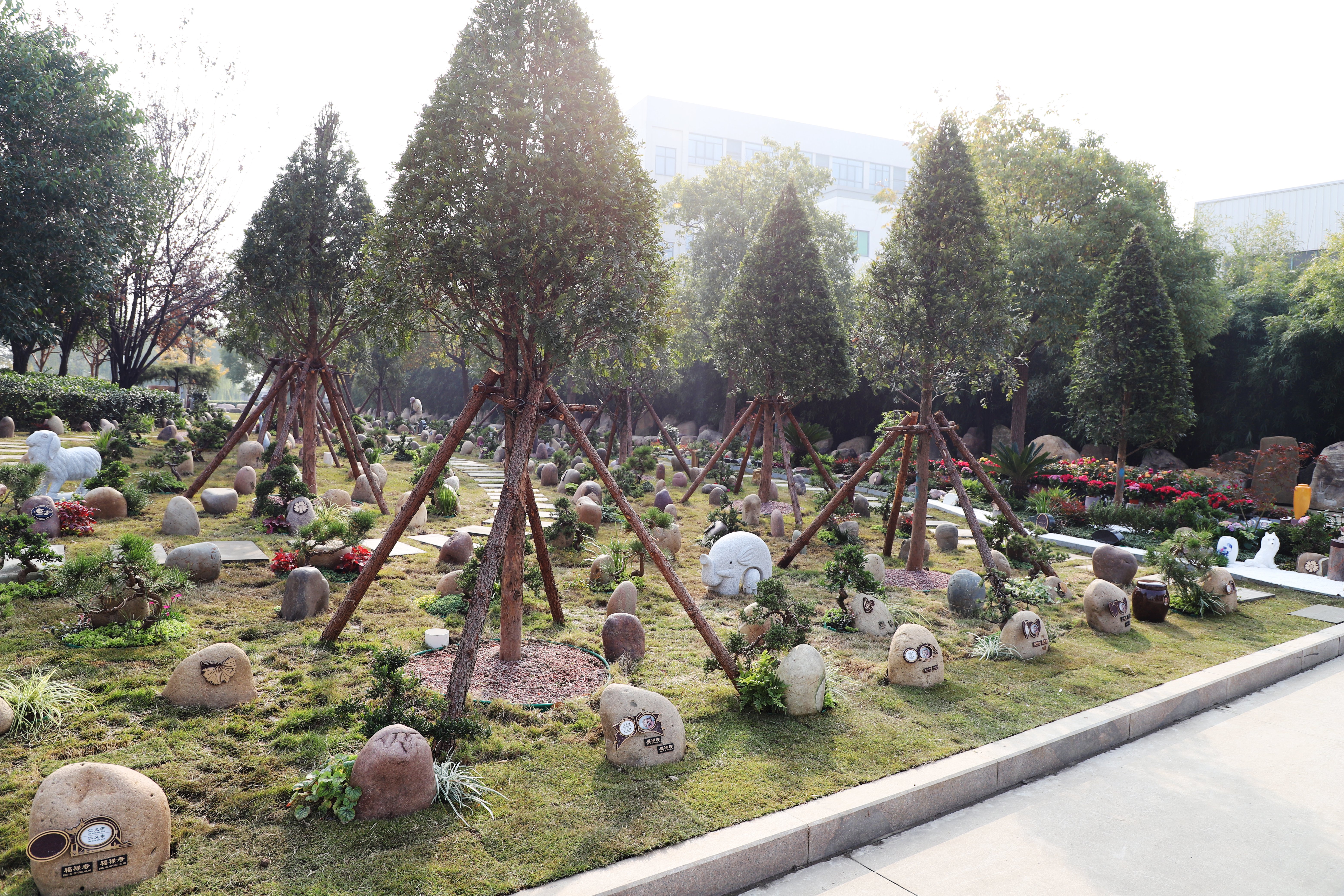 Z6·尊龙凯时(中国区)人生就是搏!