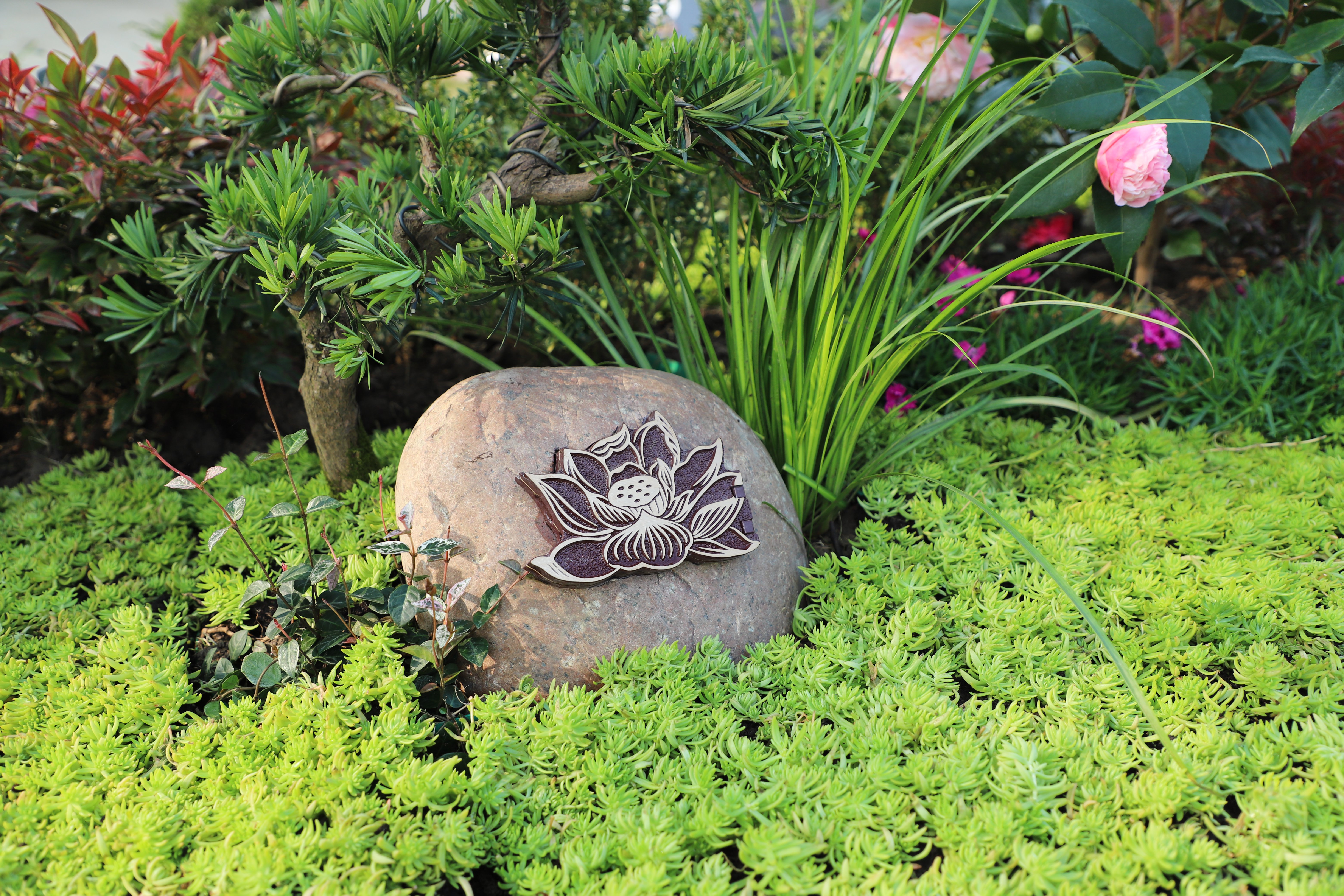 Z6·尊龙凯时(中国区)人生就是搏!