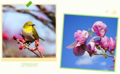 春启Z6尊龙凯时