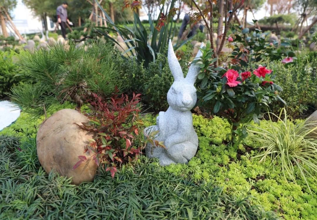 Z6·尊龙凯时(中国区)人生就是搏!