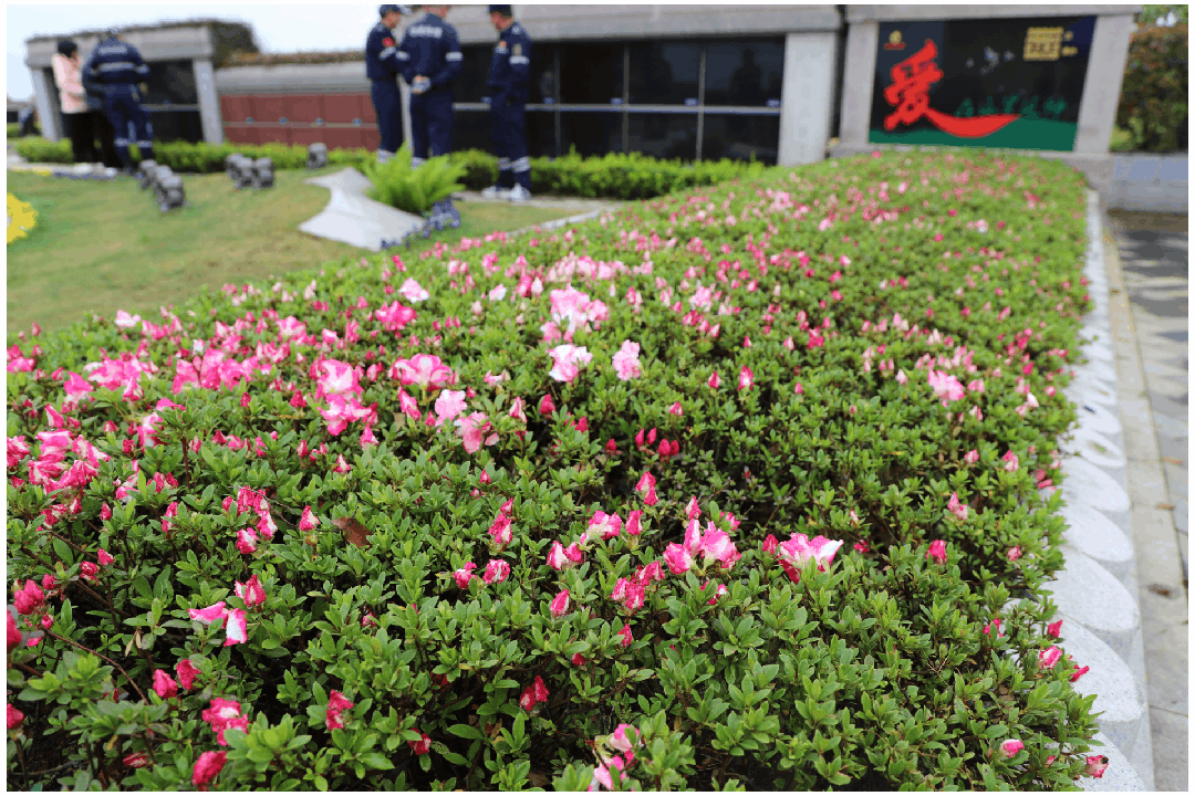 Z6·尊龙凯时(中国区)人生就是搏!