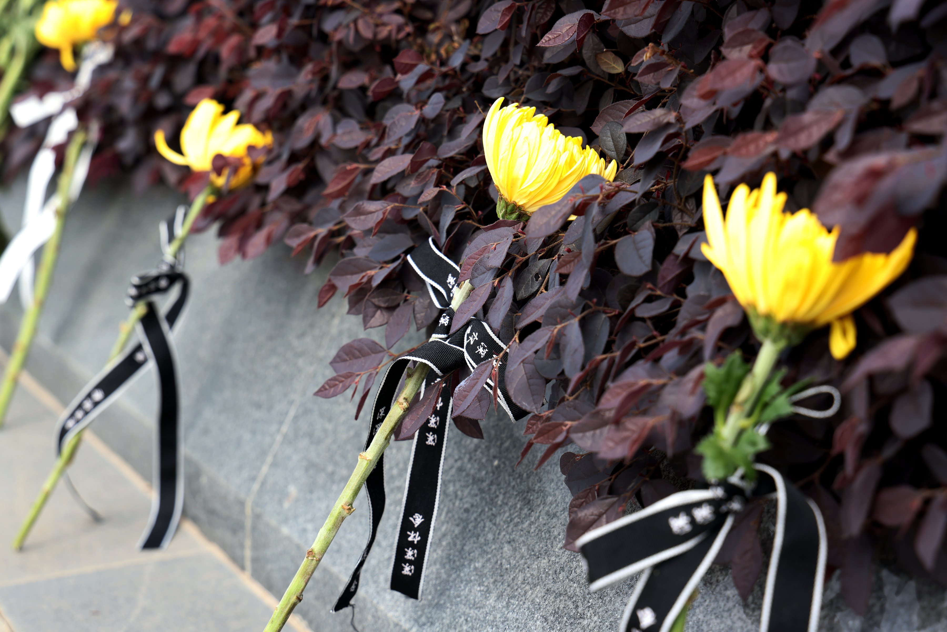 Z6·尊龙凯时(中国区)人生就是搏!