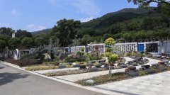 生态葬，让性命在绿意中永恒