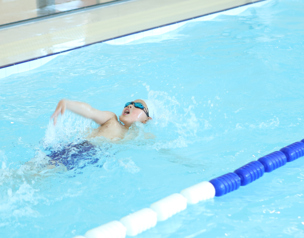 Z6·尊龙凯时(中国区)人生就是搏!