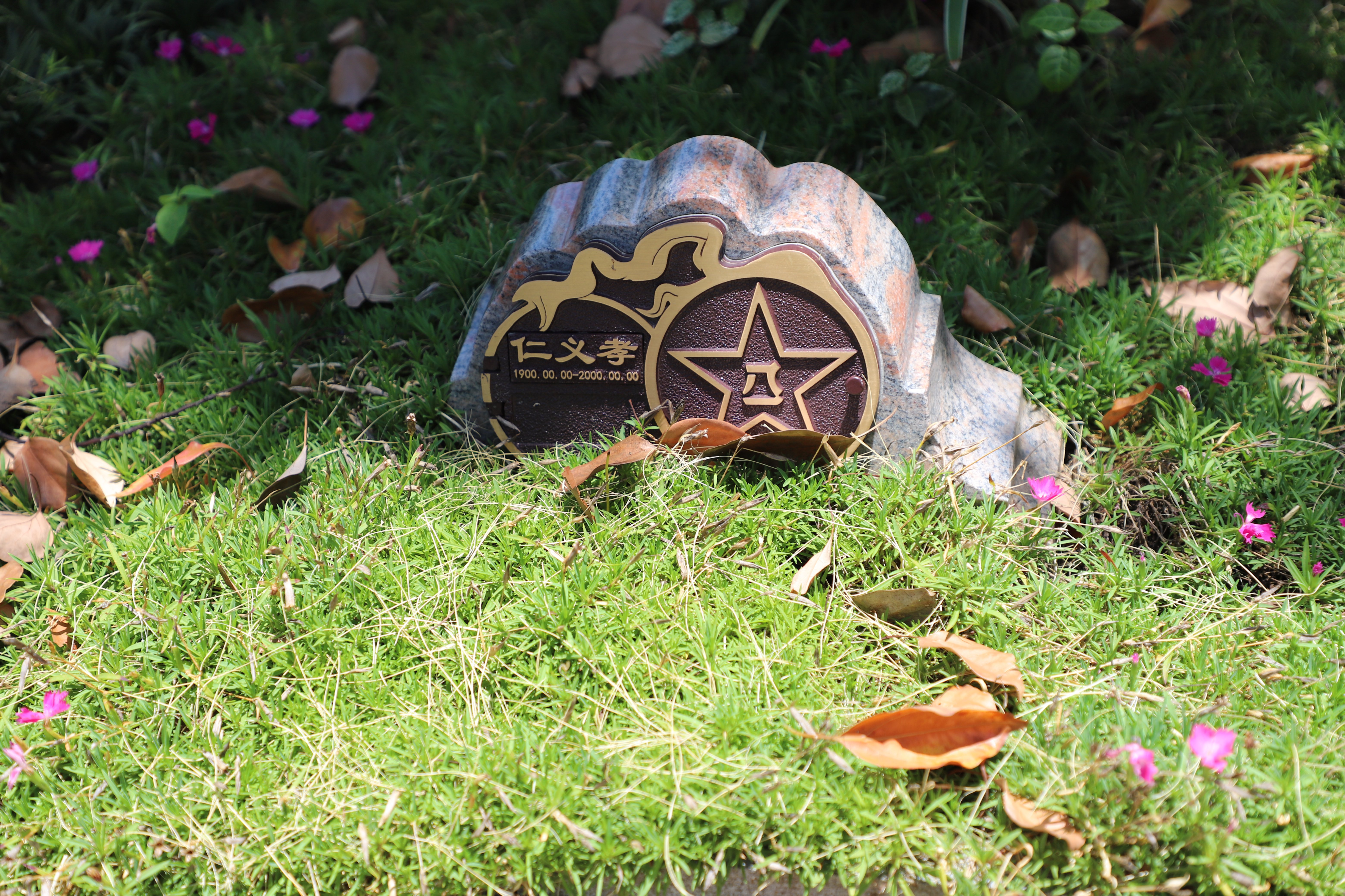 Z6·尊龙凯时(中国区)人生就是搏!