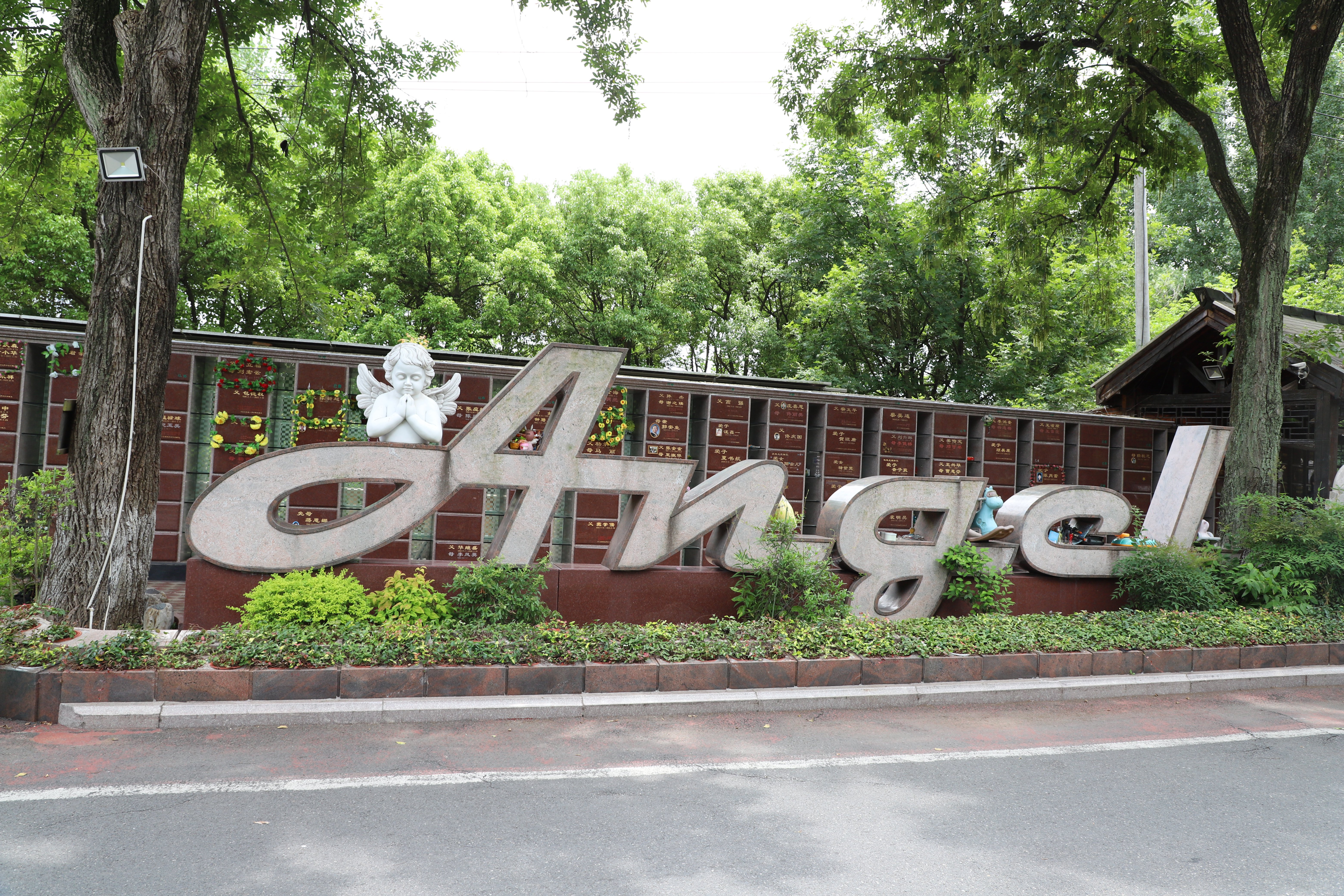 Z6·尊龙凯时(中国区)人生就是搏!