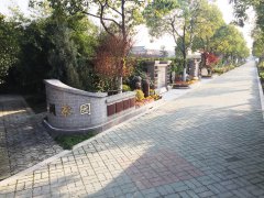 城市最后一平米：生态葬，是与天然的和解？还是无奈的选择？