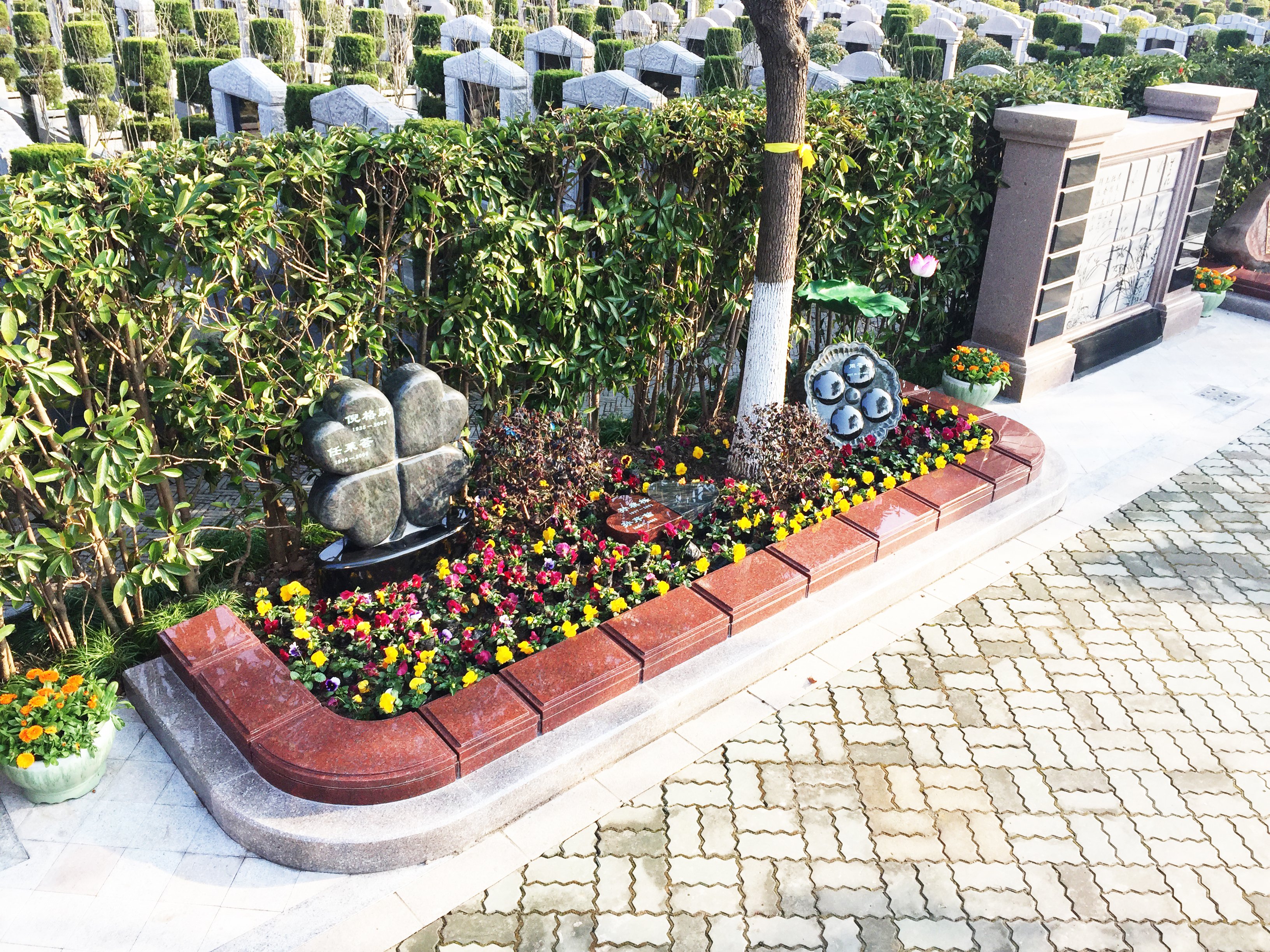 Z6·尊龙凯时(中国区)人生就是搏!