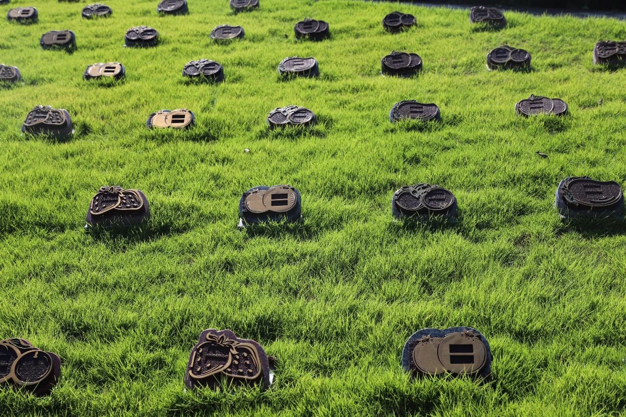 Z6·尊龙凯时(中国区)人生就是搏!