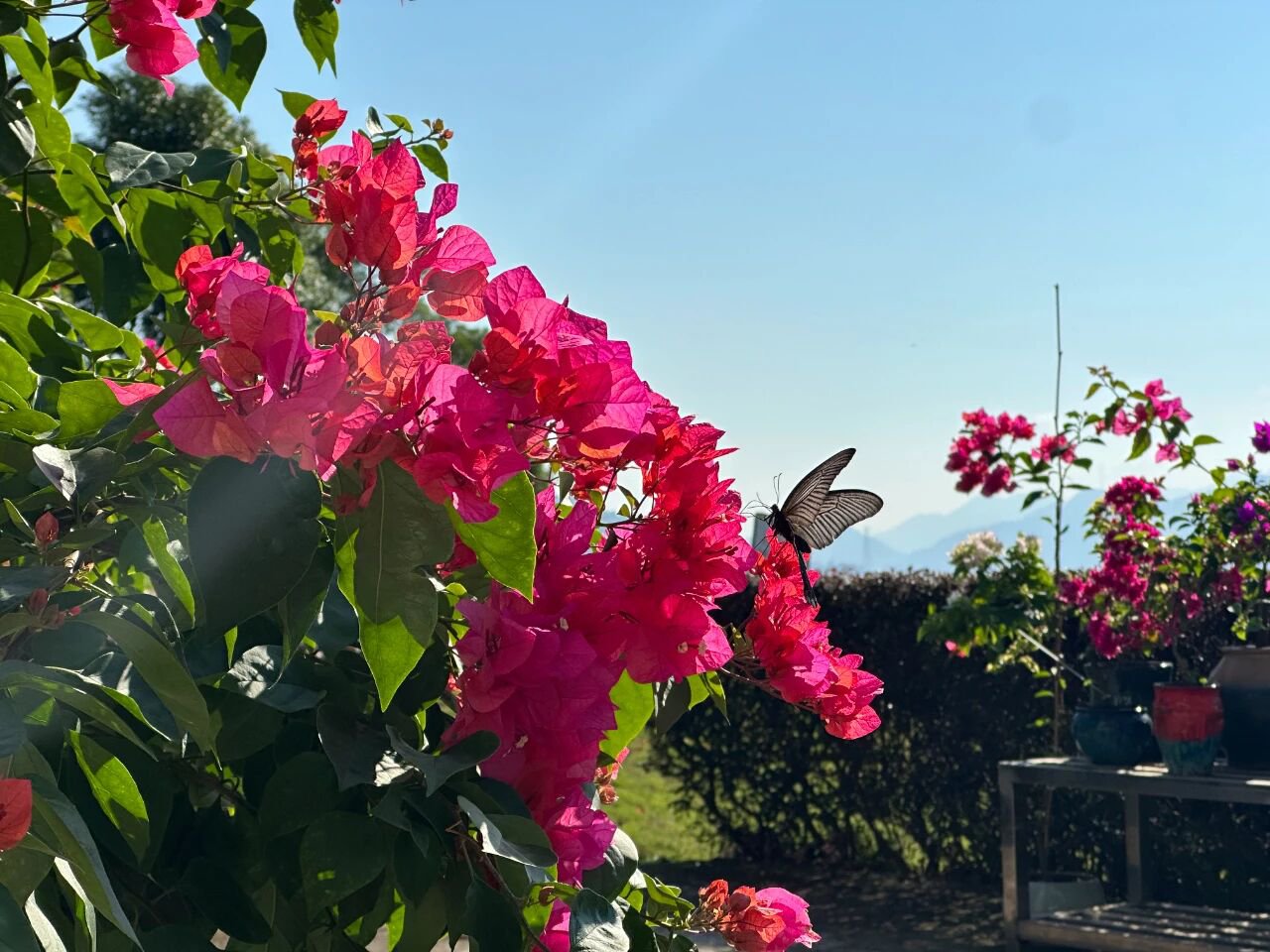 Z6·尊龙凯时(中国区)人生就是搏!