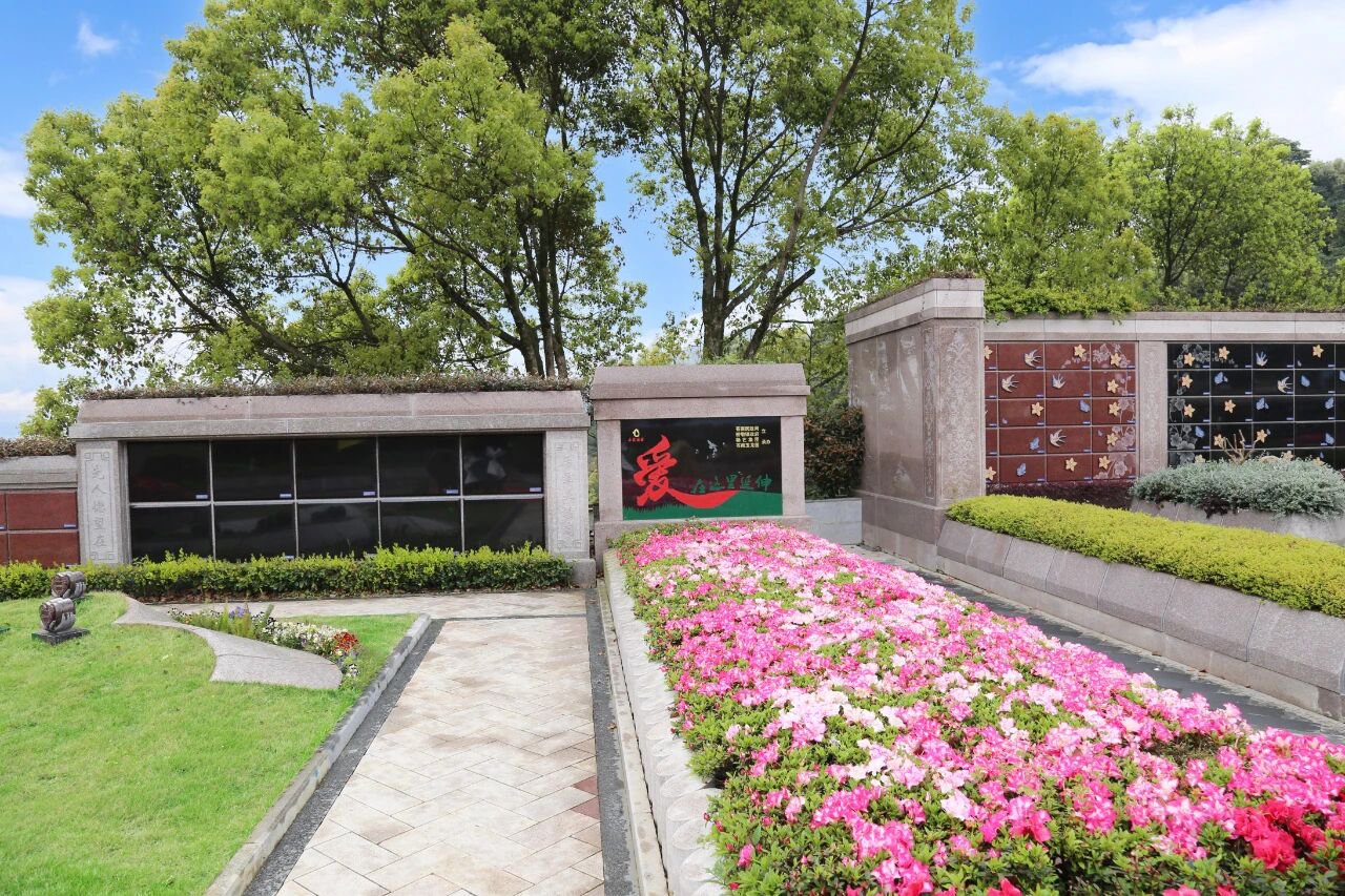 当留想，起头成长