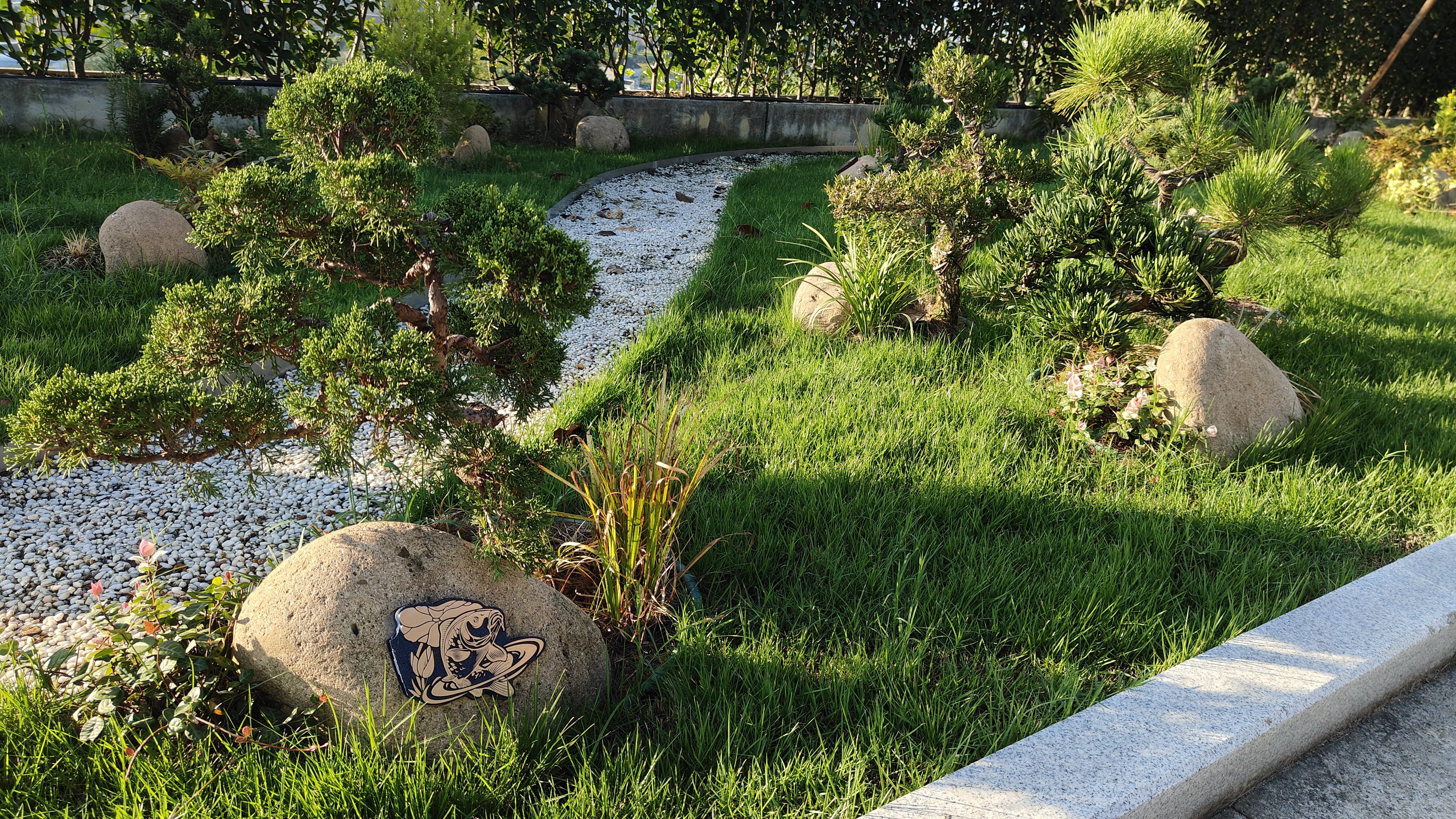 Z6·尊龙凯时(中国区)人生就是搏!