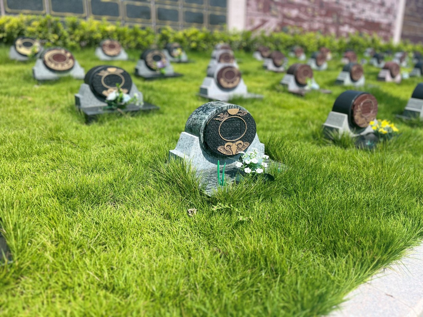 Z6·尊龙凯时(中国区)人生就是搏!