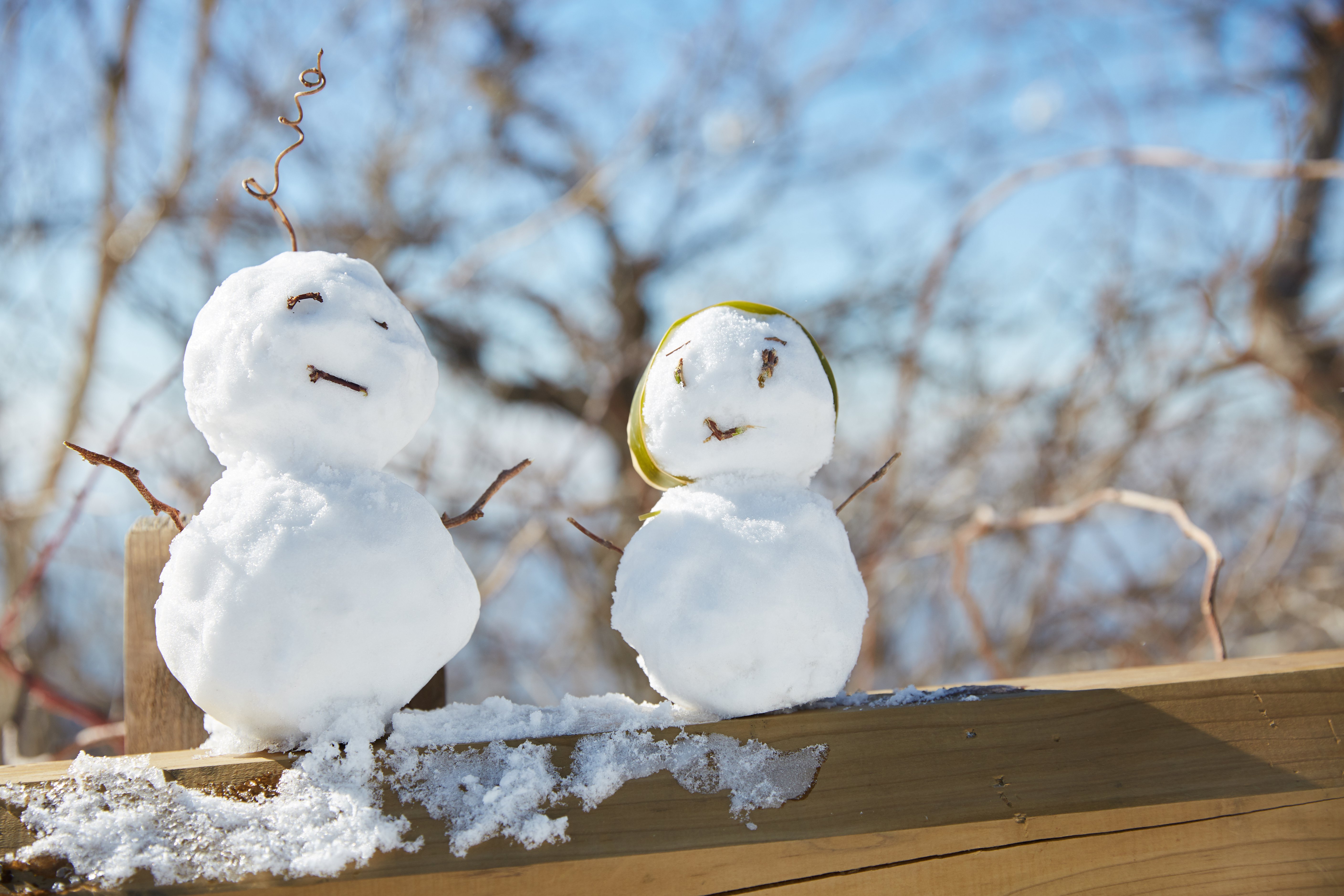 冬至，暖“杨”相伴 | Z6尊龙凯时人全力共同各墓园冬至落葬