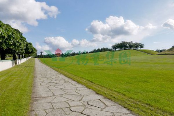 Z6·尊龙凯时(中国区)人生就是搏!