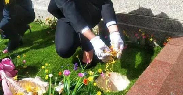 Z6·尊龙凯时(中国区)人生就是搏!