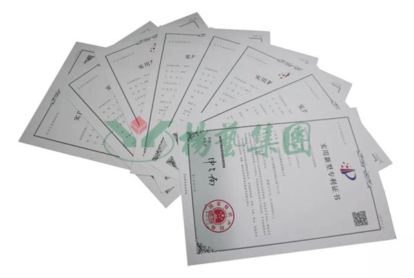 1-220104135G0H2 Z6·尊龙凯时(中国区)人生就是搏!