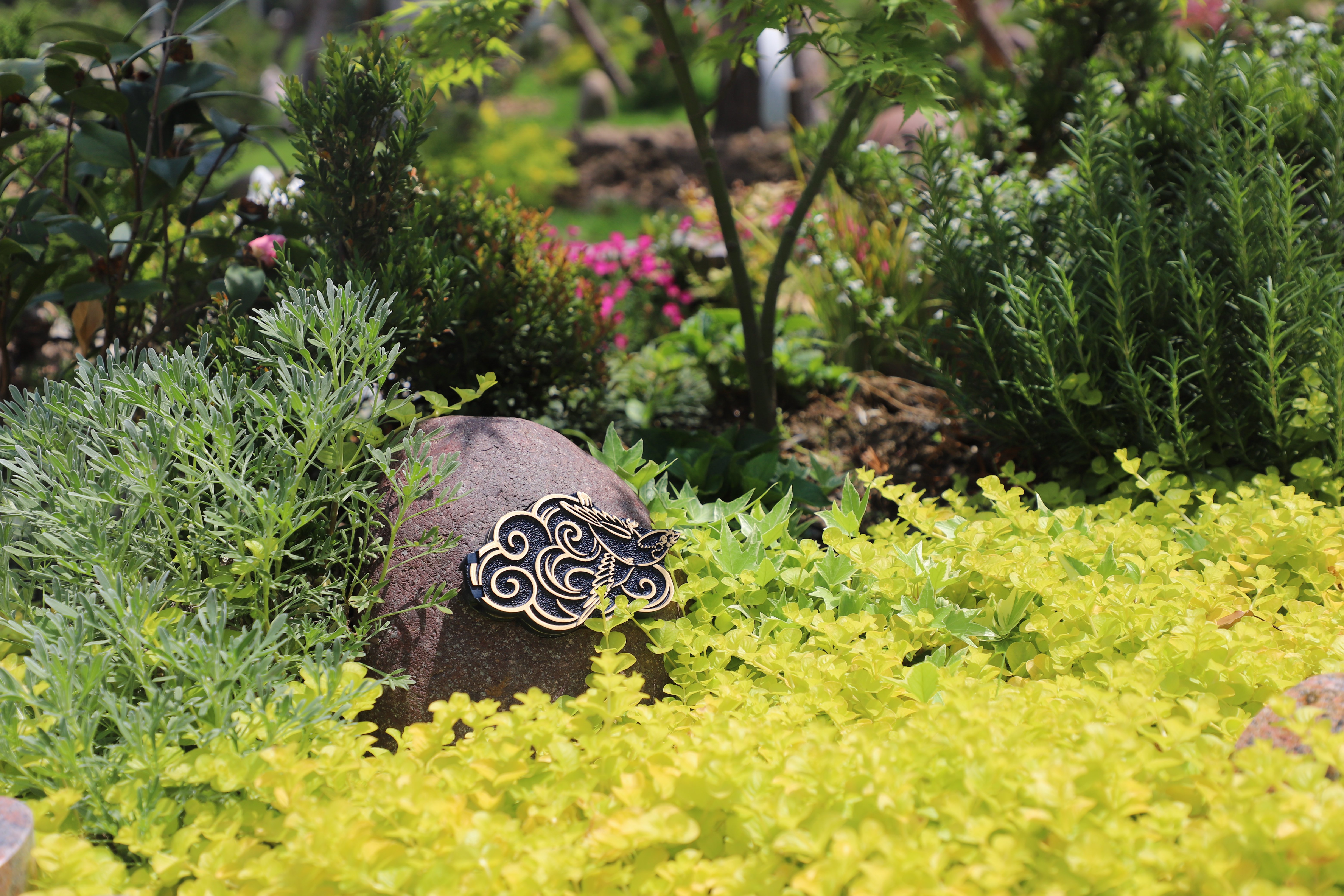 Z6·尊龙凯时(中国区)人生就是搏!