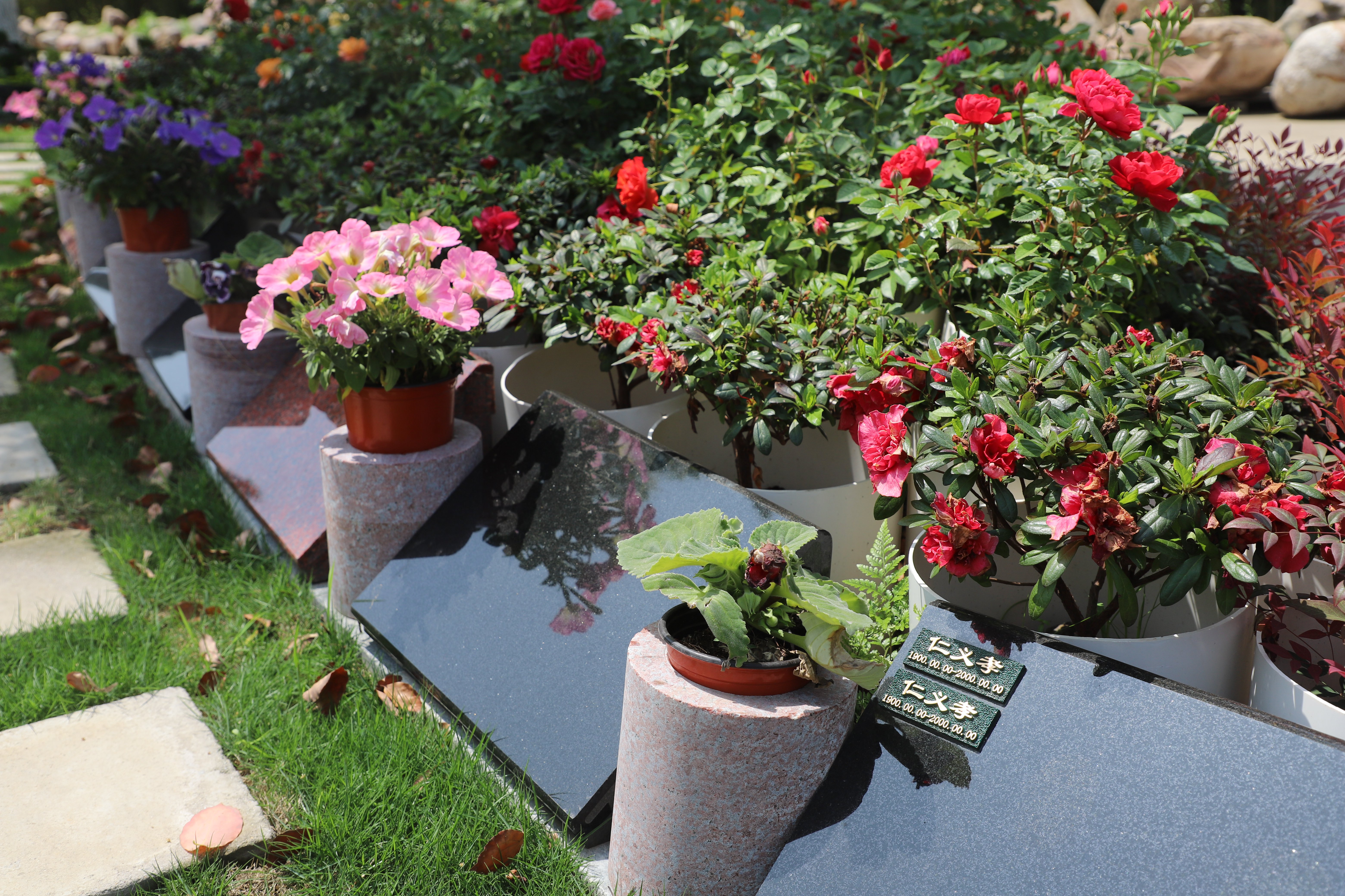 Z6·尊龙凯时(中国区)人生就是搏!