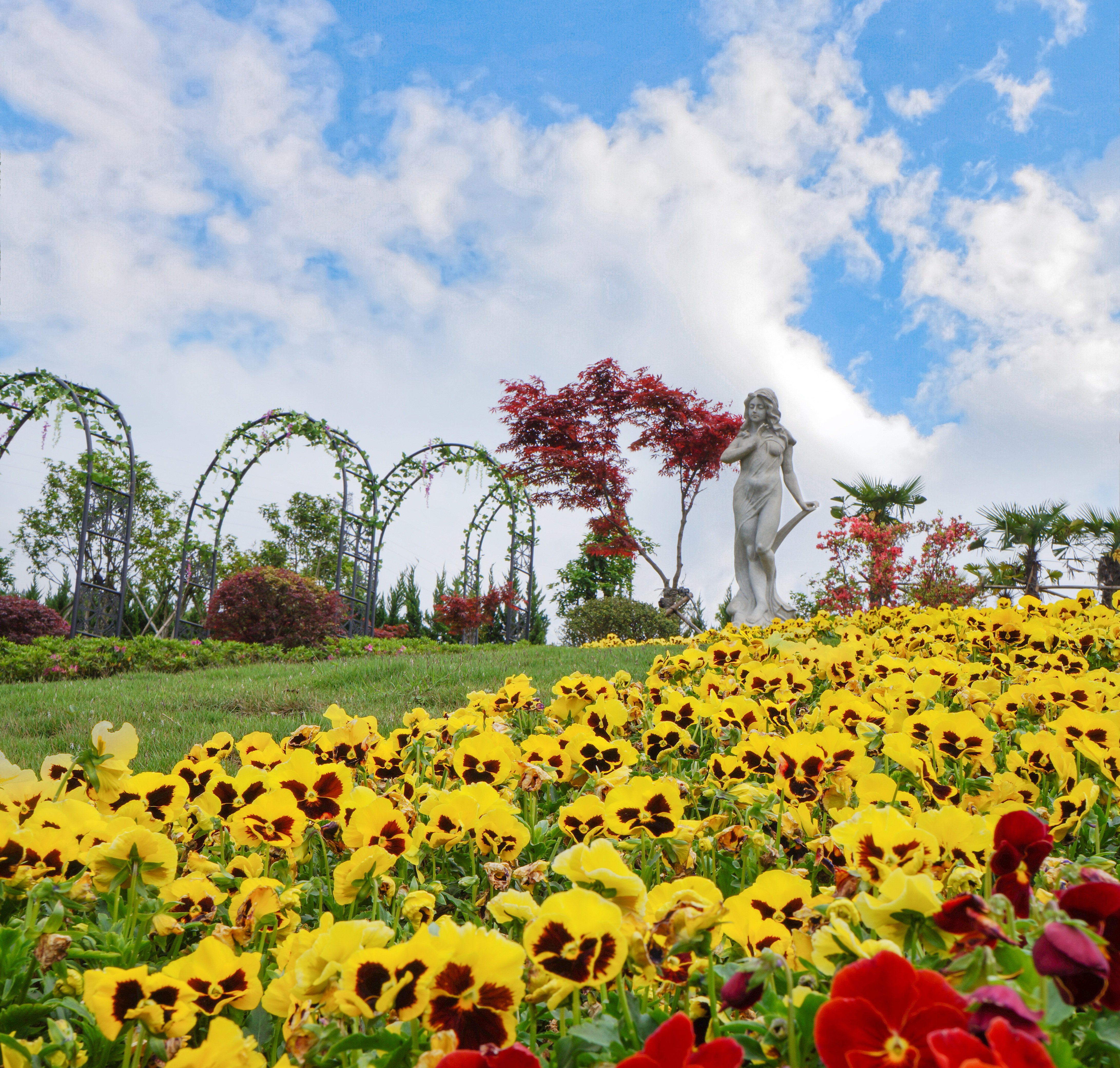 Z6·尊龙凯时(中国区)人生就是搏!